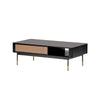 Davidson Coffee Table With Drawer And Shelf