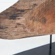 Biophilic Slice Wooden Sculpture