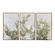 Botanical Gold Triptych Wall Art