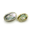 Abalone Shell