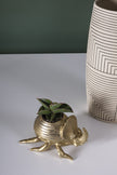 Golden Scarab Pot