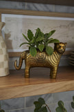 Golden Tiger Pot