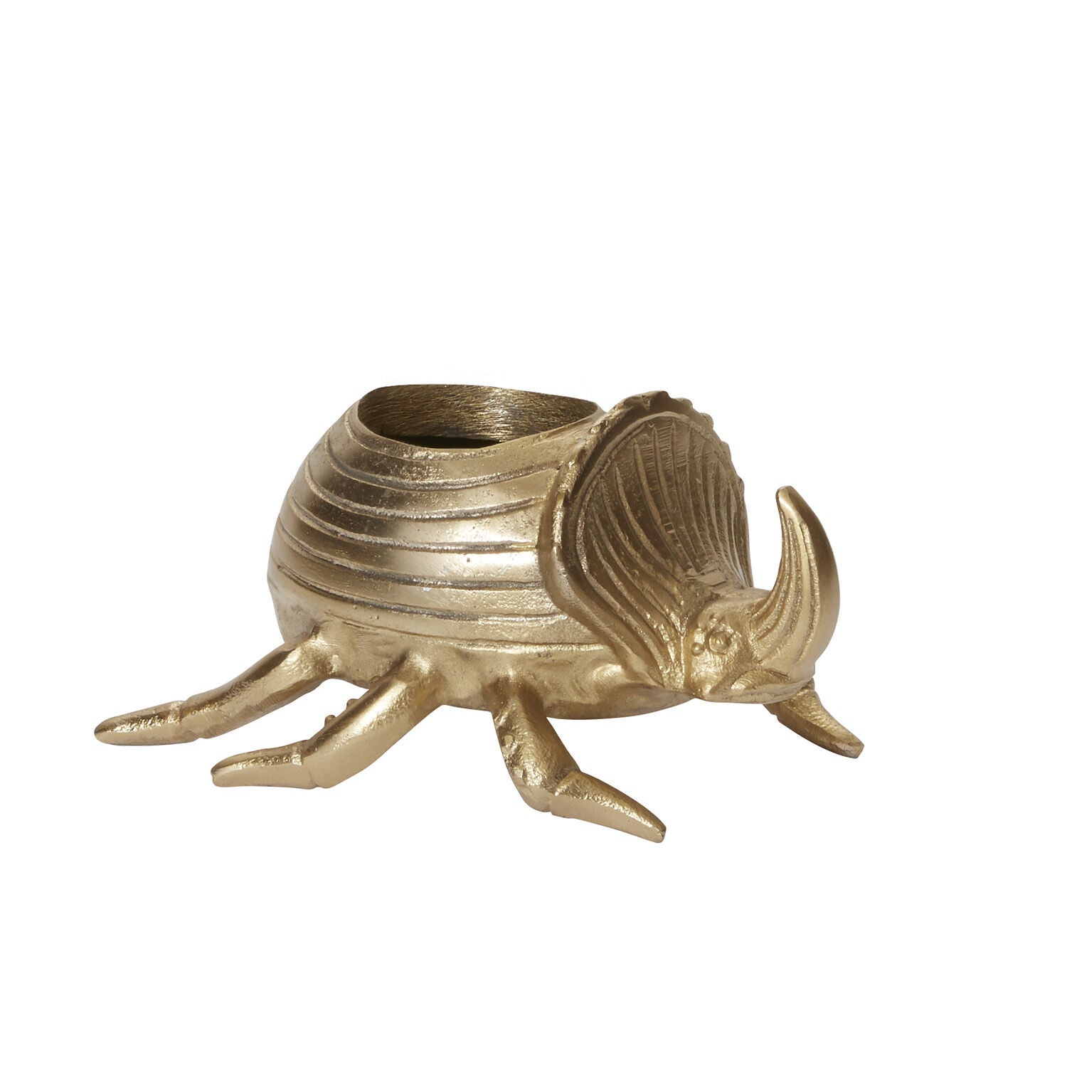 Golden Scarab Pot