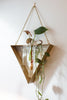 Tawny Hanging Propagation Vase