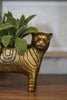 Golden Tiger Pot